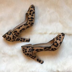 Zara Leopard Print Heels